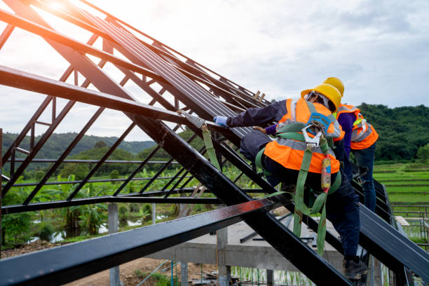 Best Roof Gutter Cleaning  in Cobb Island, MD